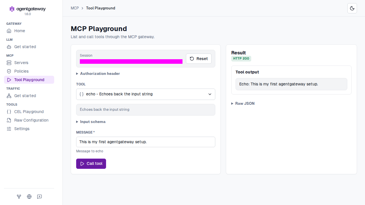 MCP Playground with the echo tool selected, a message entered, and the tool output Echo: This is my first agentgateway setup.